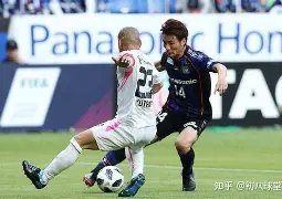 八戒体育-包含鹿岛鹿角重点培养年轻力量，迎战强敌有备无患的词条