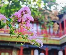 正面回应节奏，Yellow微博发文：TUT继续加油！(yellow webite)