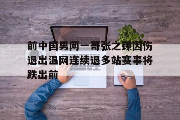 八戒体育-前中国男网一哥张之臻因伤退出温网连续退多站赛事将跌出前的简单介绍
